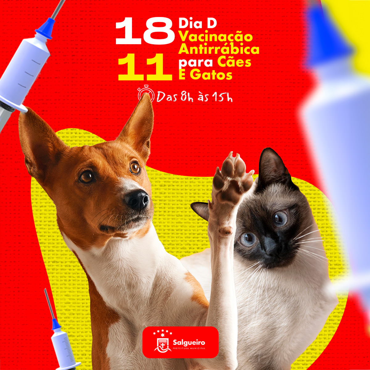 Prefeitura de Salgueiro promove Dia D de Vacinação Antirrábica para Cães e Gatos neste sábado (18).