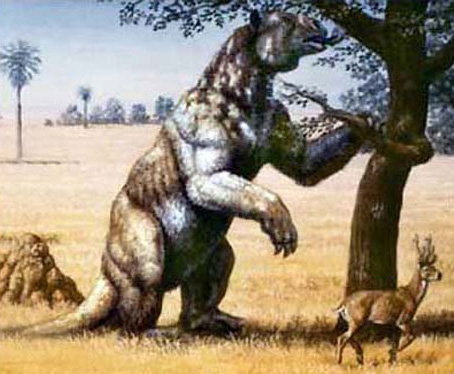 Foto da Preguiça Gigante (Megatherium)