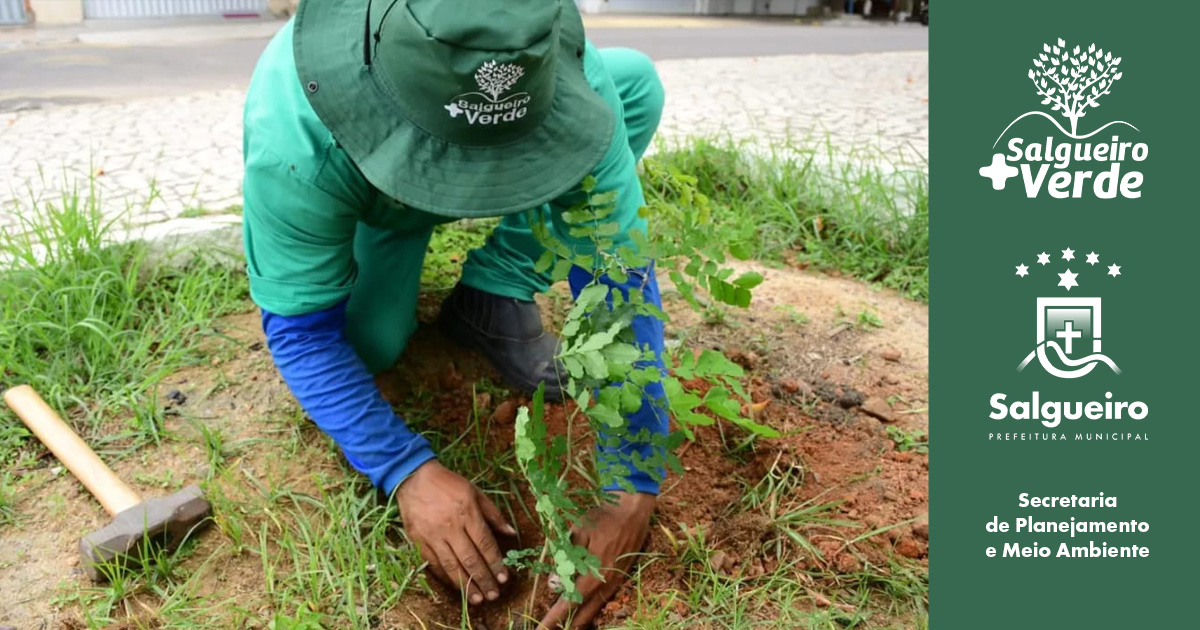 O programa Salgueiro Mais Verde está melhorando as condições ambientais do município.