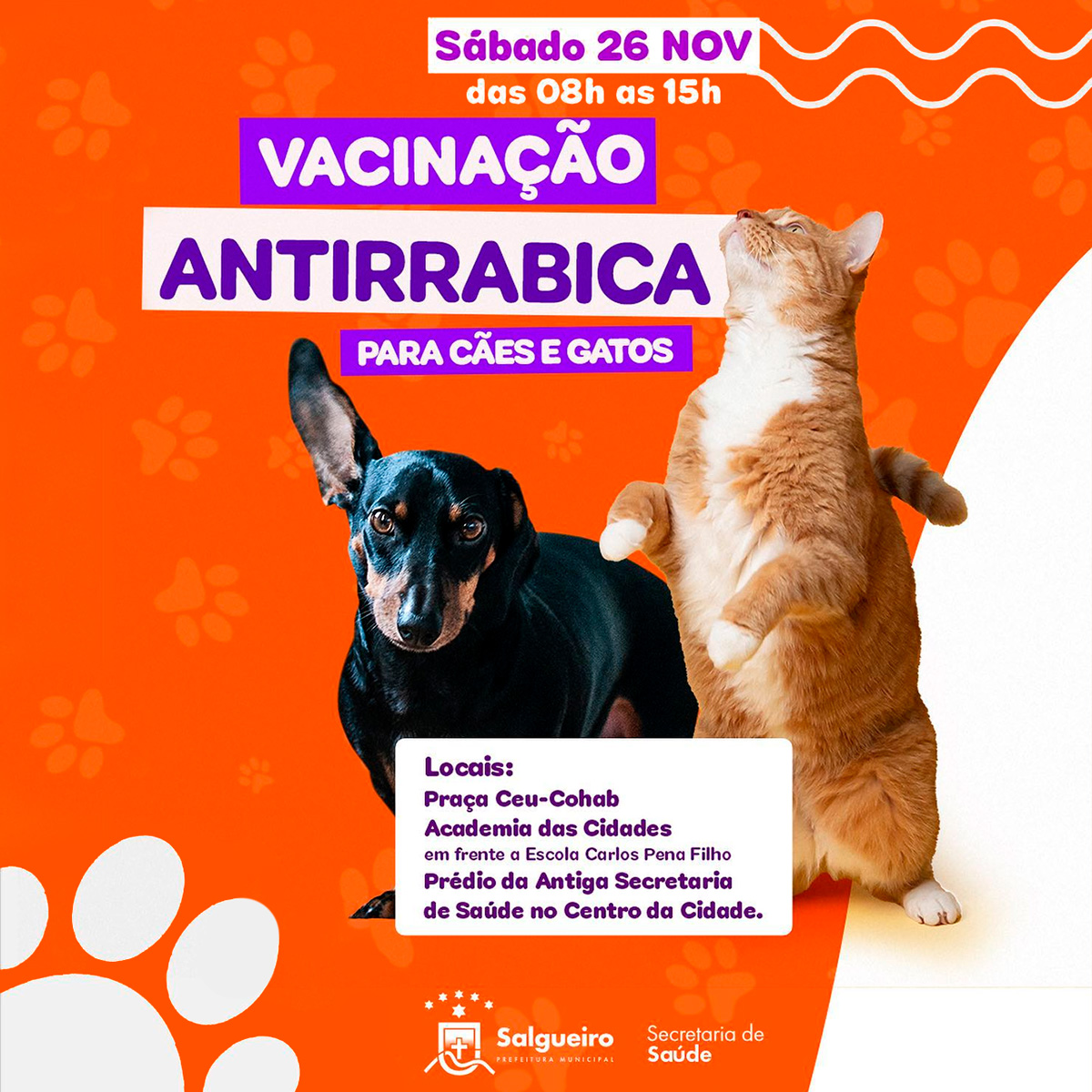 Vacinação Antirrábica Para Cães e Gatos